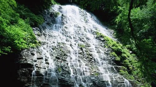 高效高性能独特